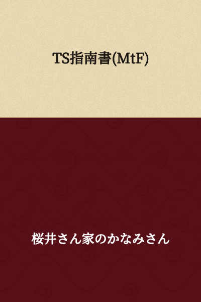 TS Guide (MtF)