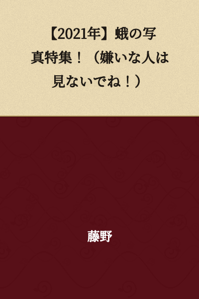 【2021】Moth Photo Feature! (Those who dislike them, please don't look!)