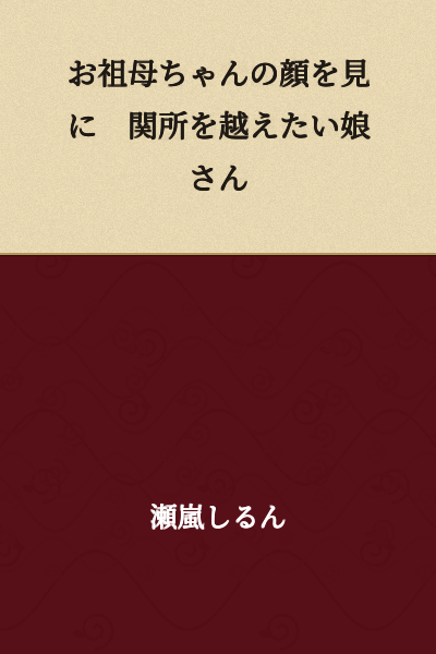 I want to cross the checkpoint to see my grandmother's face, a daughter said.