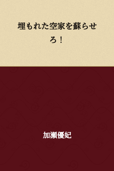 Revive the Buried Vacant Houses!