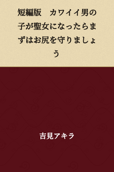 Short Story Version: If a Cute Boy Becomes a Holy Maiden, First Protect His Buttocks